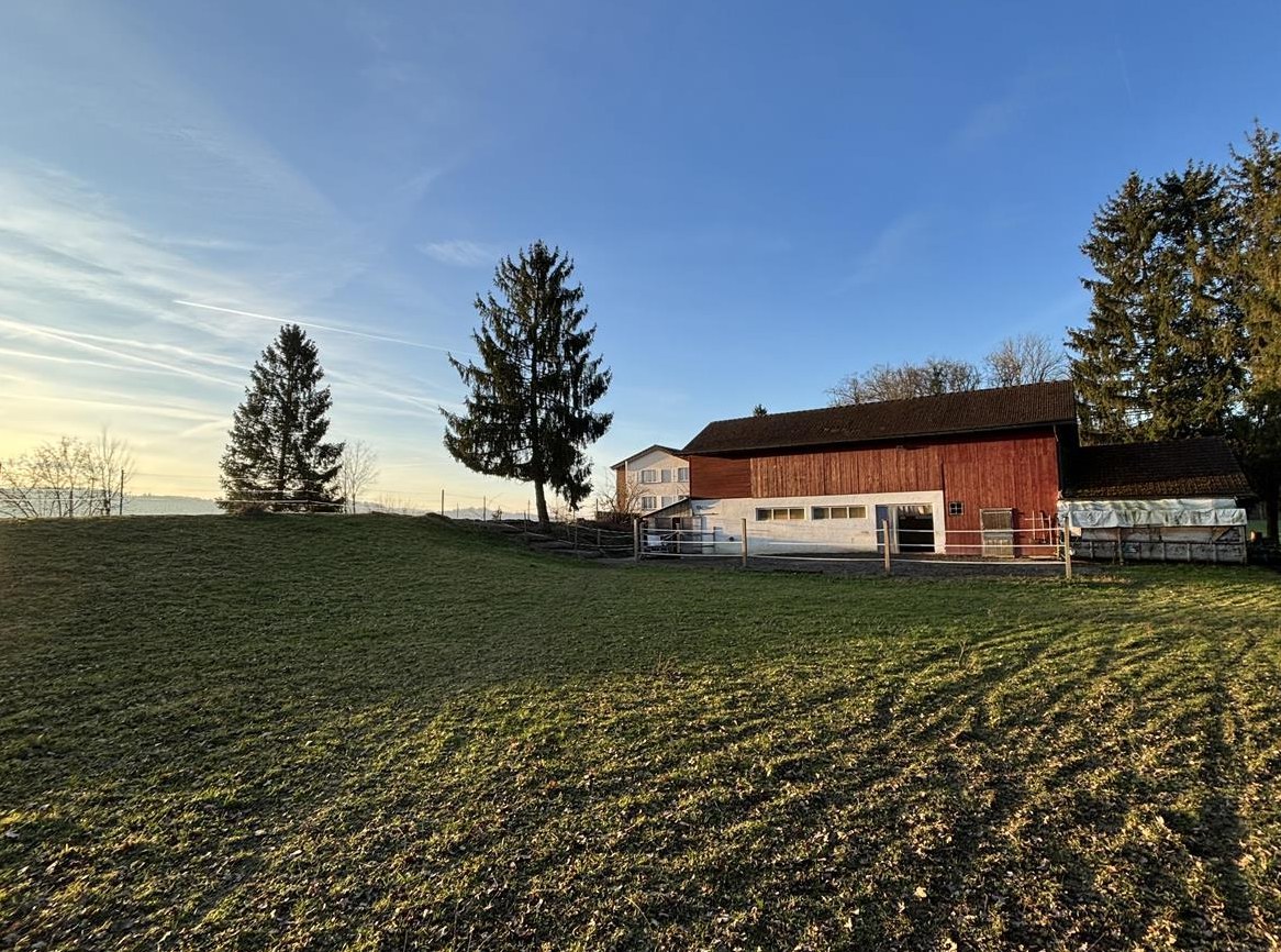 Vermieten Offenstall/Aktivlaufstall an Selbstversorger, Mellingen AG