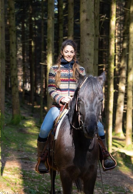 Die Welt der Ponys & Pferde entdecken für Kinder Die Welt der Ponys & Pferde entdecken für Kinder