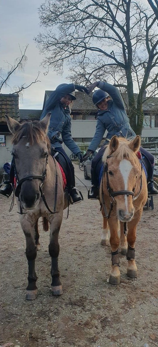 Reiten mit Ponys & (Klein) Pferde in Münsingen Reiten mit Ponys & (Klein) Pferde in Münsingen