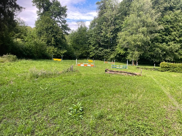 Pferdespringplatz Allschwil