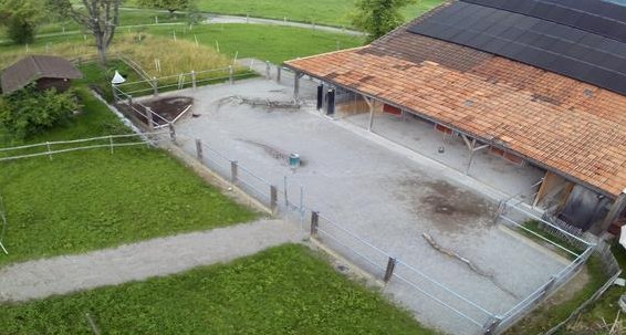 Stallhilfe gesucht in 9502 Braunau TG