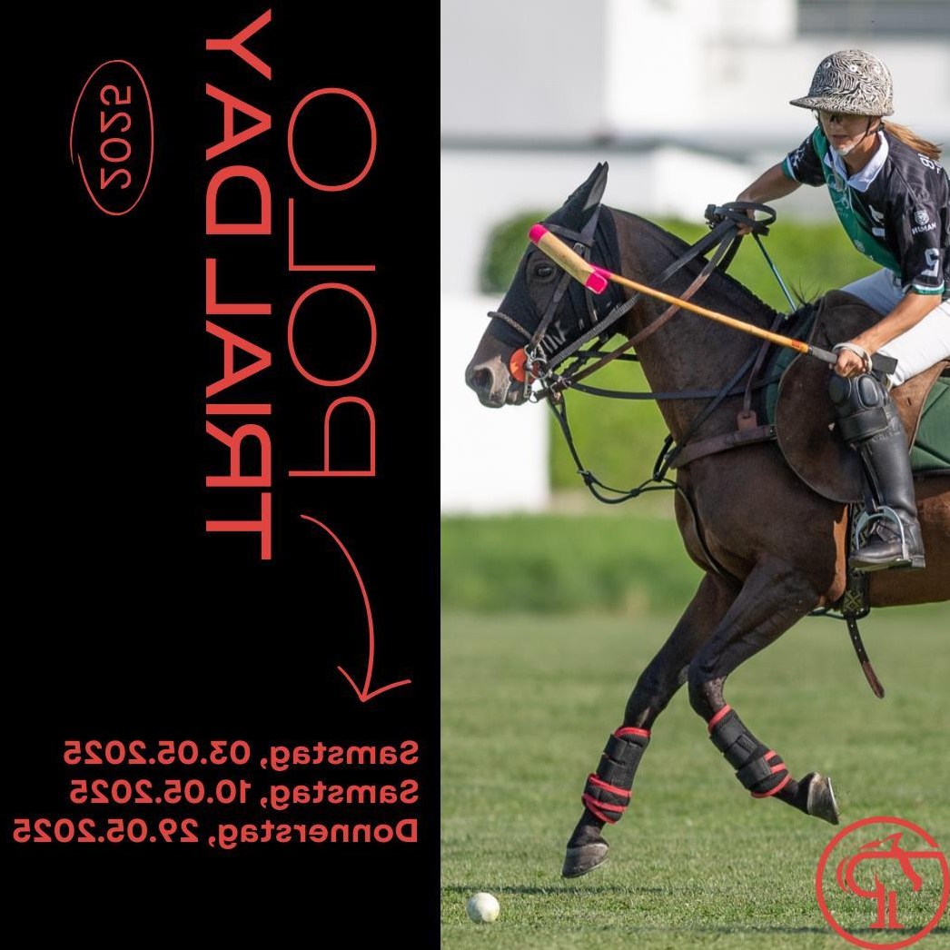 Polo Schnupperkurs in Küssaberg BW